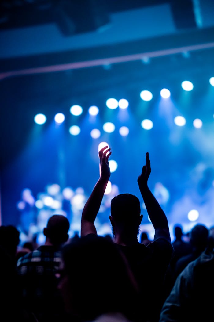 Silhouette of a person enjoying a live music concert with vibrant stage lighting.